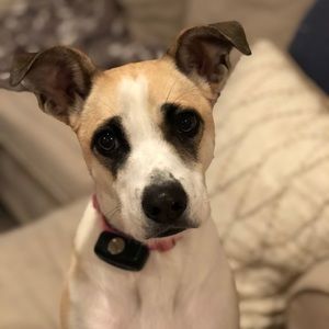 Meet your Posher, Ava
